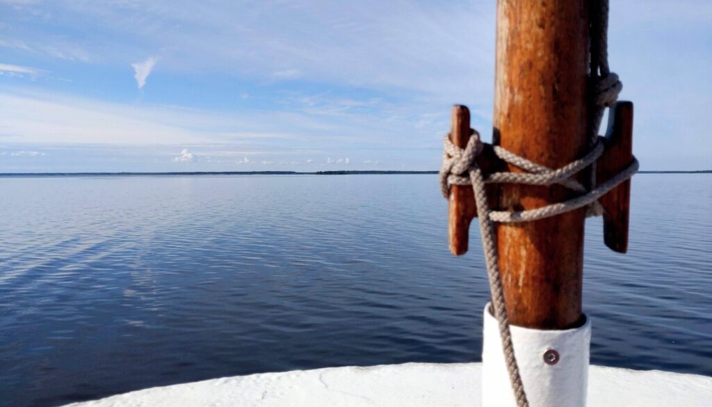 Lähikuva Oulu-laivan rainetangon alaosasta. Taustalla siintää meri.